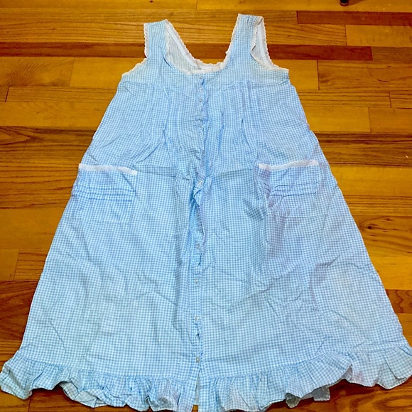 Ilise Stephens Blue & White Gingham Housedress, Fits Size 10, 100% Cotton. Cool - Picture 1 of 6